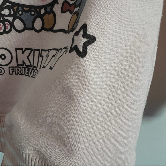 Hello Kitty and Friends Pink Crewneck Pullover Sweatshirt-Girls Youth Size L - Picture 3 of 5